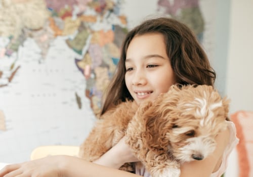 How homeschooling affects children's social skills?