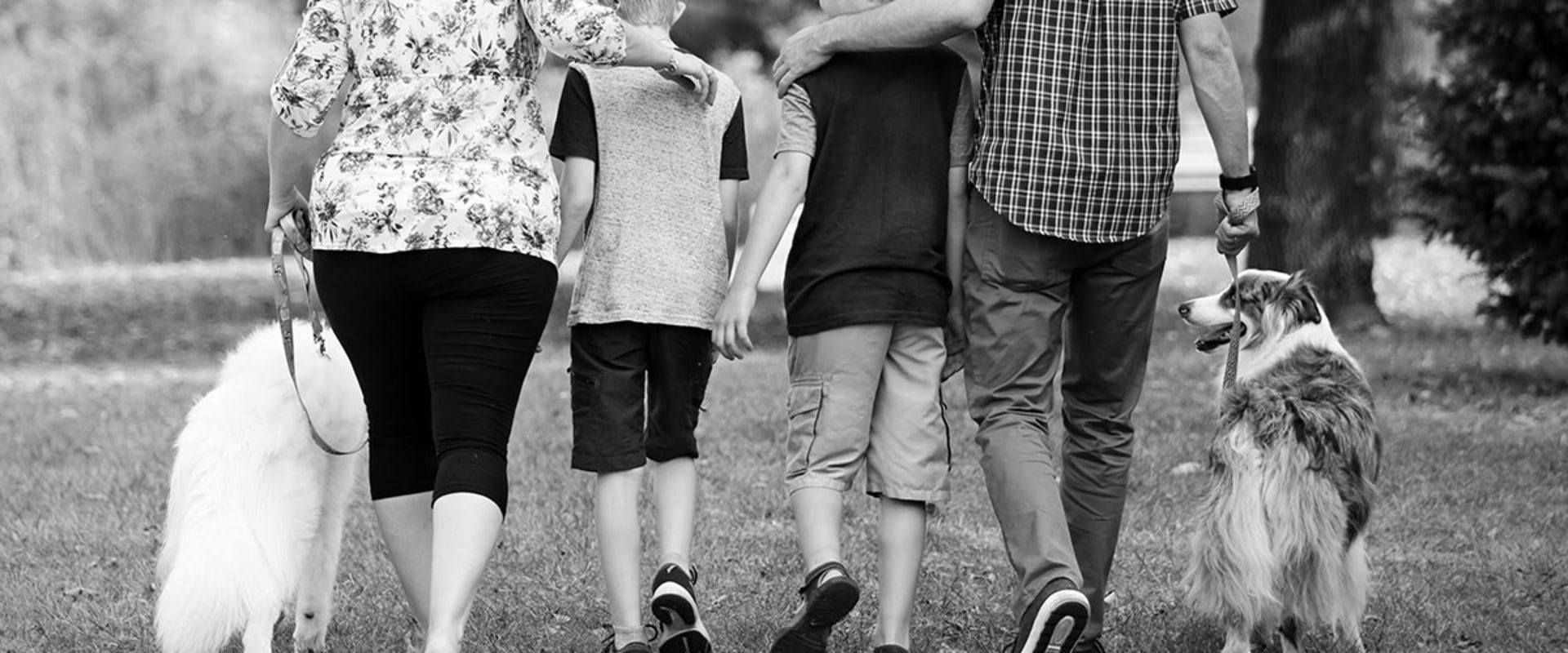 Accredited Homeschool Programs in Texas: What You Need to Know