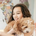 Does Homeschooling Affect Social Skills? An Expert's Perspective